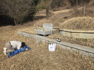 설 전에 부모님 묘소를 성묘 하고 설 차례를 지내자